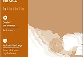 Mexico - First Quarter 2014
